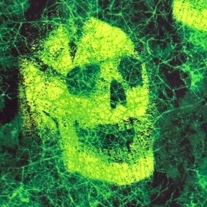 New TIHO Designs Radioactive Neon Green Skull Graphic Leggings Curvy 12 20 Yoga